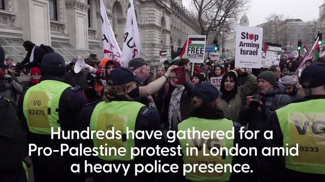 Eight arrests as thousands join pro-Palestine rally in Westminster