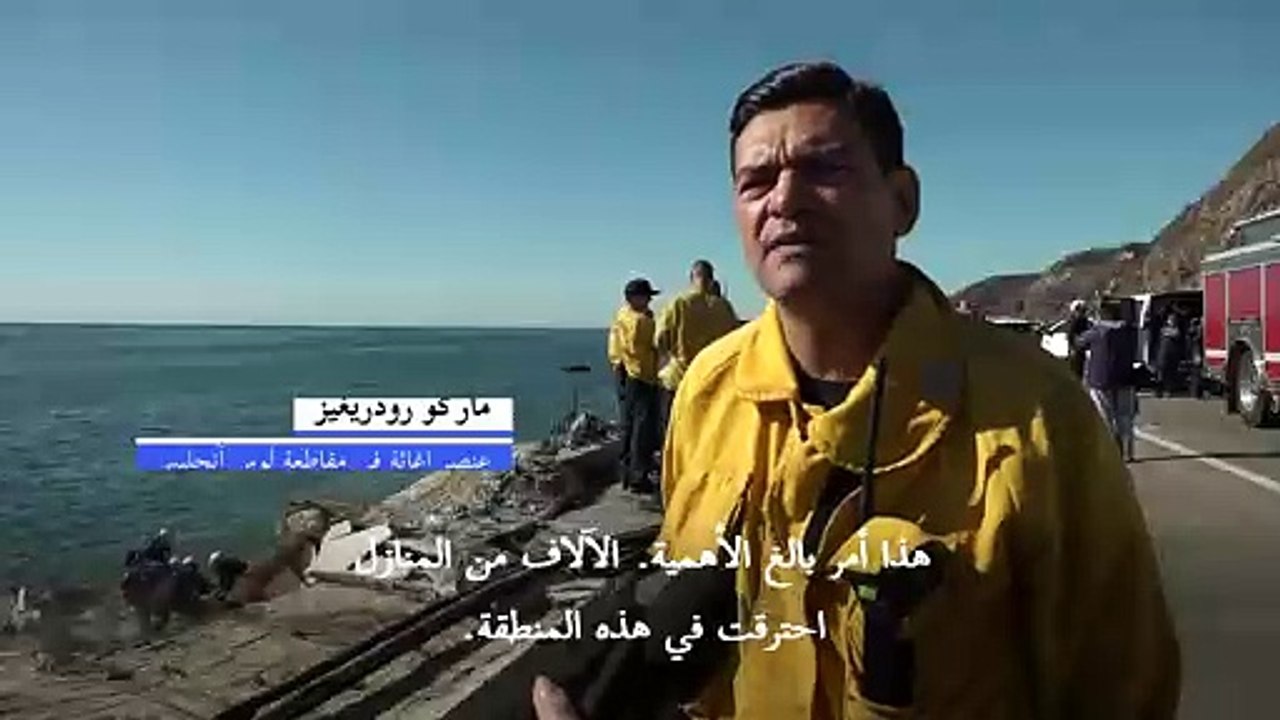 الكلاب تساعد عناصر الإغاثة في العمليات الإنقاذي...