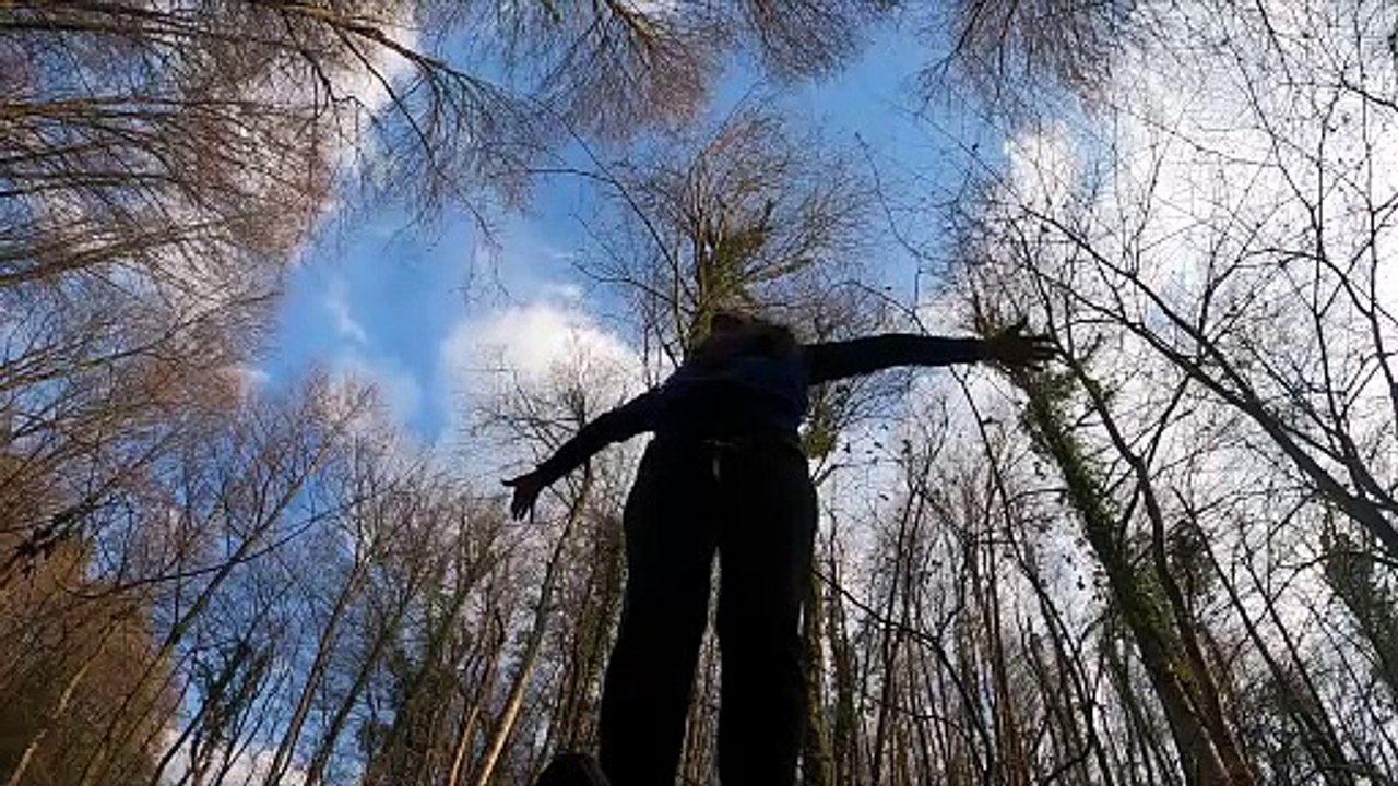 Man in sky