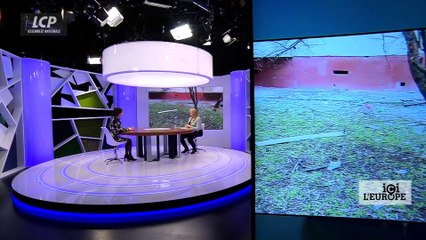 Ici l'Europe - Elon Musk déstabilise l'Europe