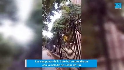 Las campanas de la Catedral platense sorprendieron con "Noche de Paz"