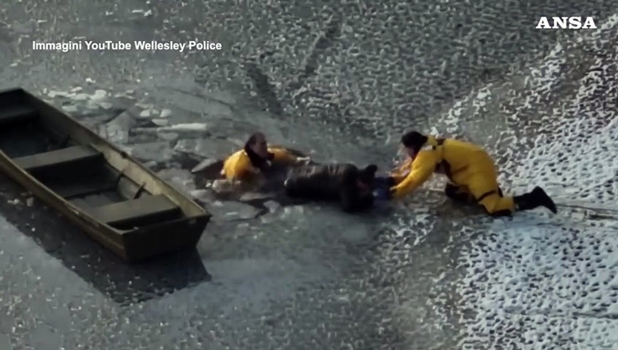 Usa: Massachusetts, salvati un uomo e il suo cane caduti nel lago ghiacciato di Waban
