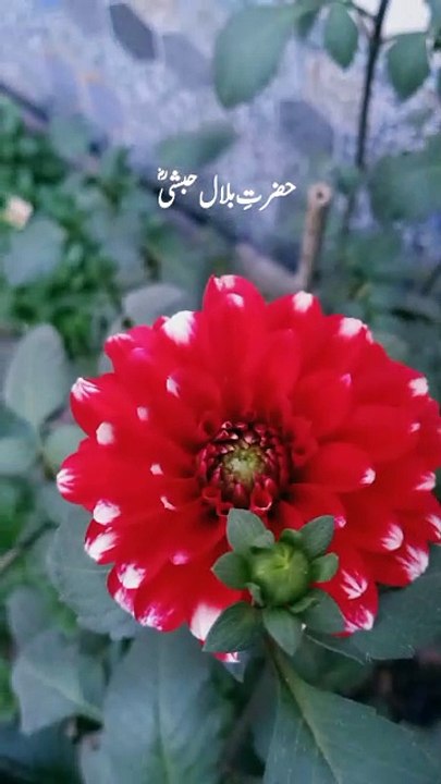 Peace be upon him