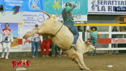 Monta El Gringo - Sábado 18 Enero 2025