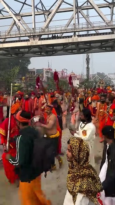 Nagasadhu