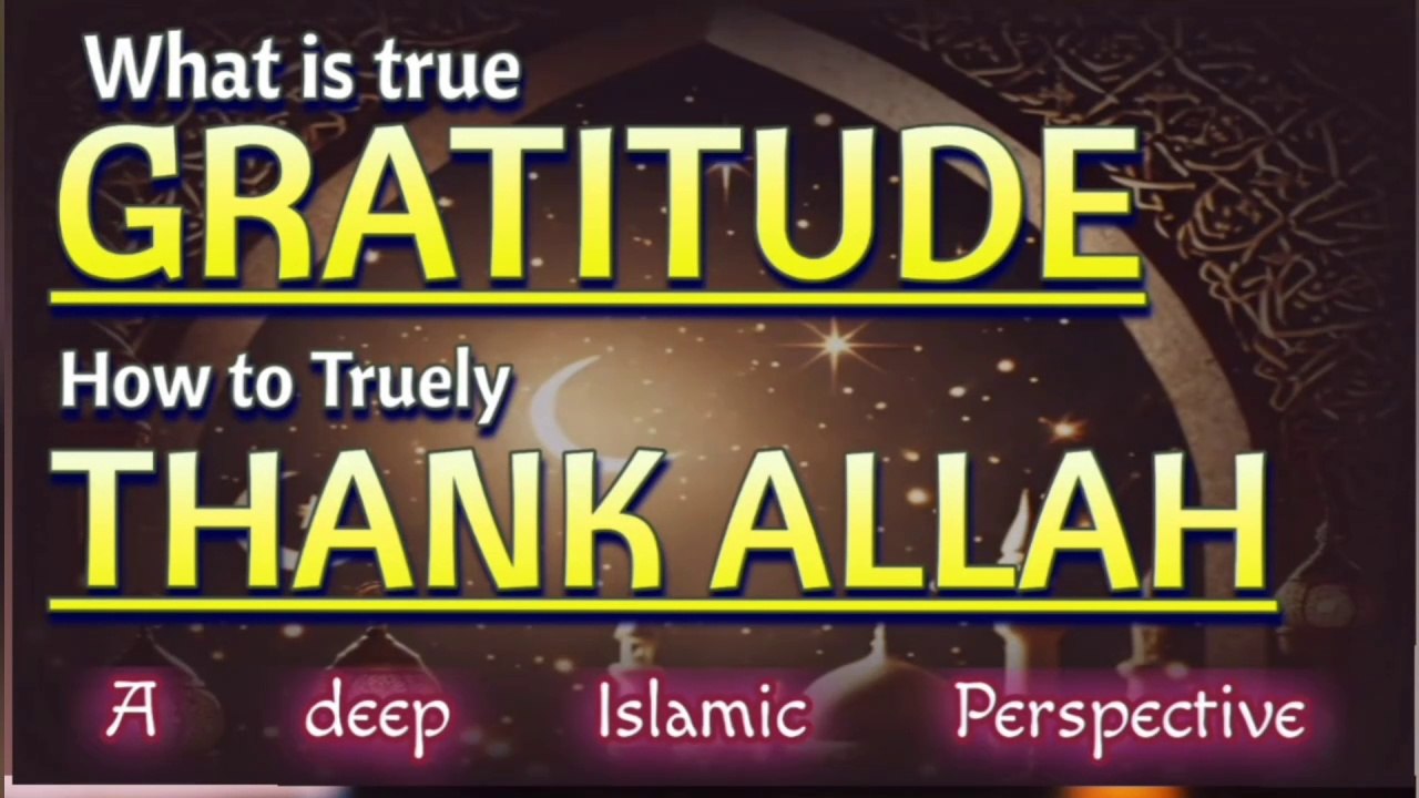 What is true Gratitude | How to Truly Thank Allah | A deep Islamic Perspective | Mystic Wisodm