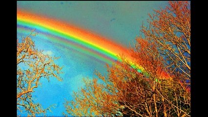 Unlocking the Secrets of the Universe Through Mathematics 🔍