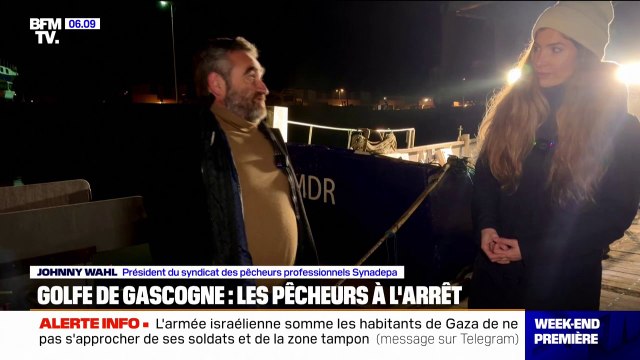 Golfe de Gascogne: les pêcheurs à l'arrêt pour protéger les dauphins