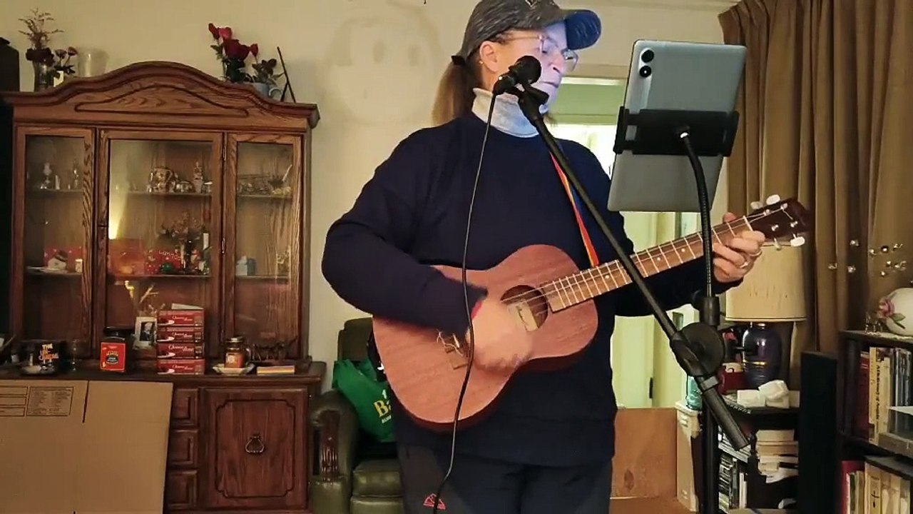 Ukulele Cover Songs