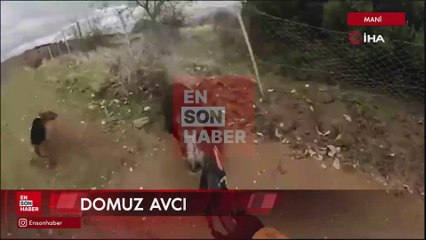 Manisa’da domuzun avcıya saldırdığı anlar