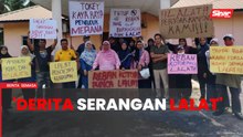 Lima tahun tahan derita serangan jutaan lalat