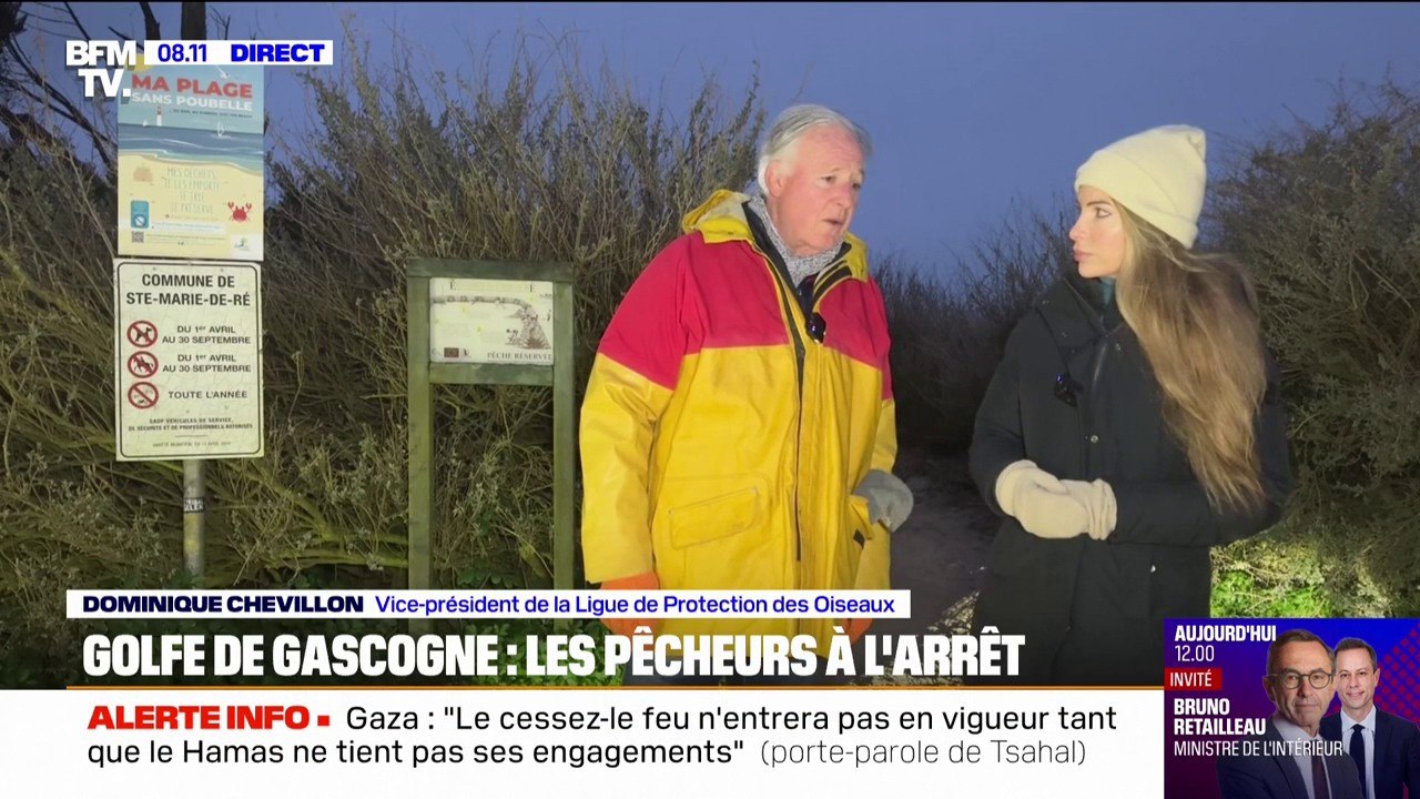 Golfe de Gascogne: l'interdiction de pêcher fait la joie des défenseurs de l'environnement