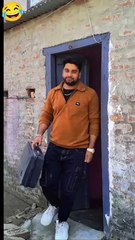 Funny dogs 😂😂😂