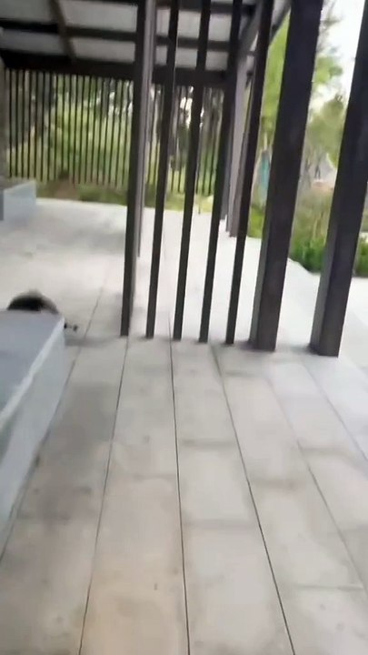 Was ist los mit dir...