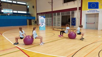 Swiss Ball -  2. Tricep dips