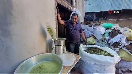 Bu yeşil karışım aslında Türkiye'nin şifa deposu baharatı