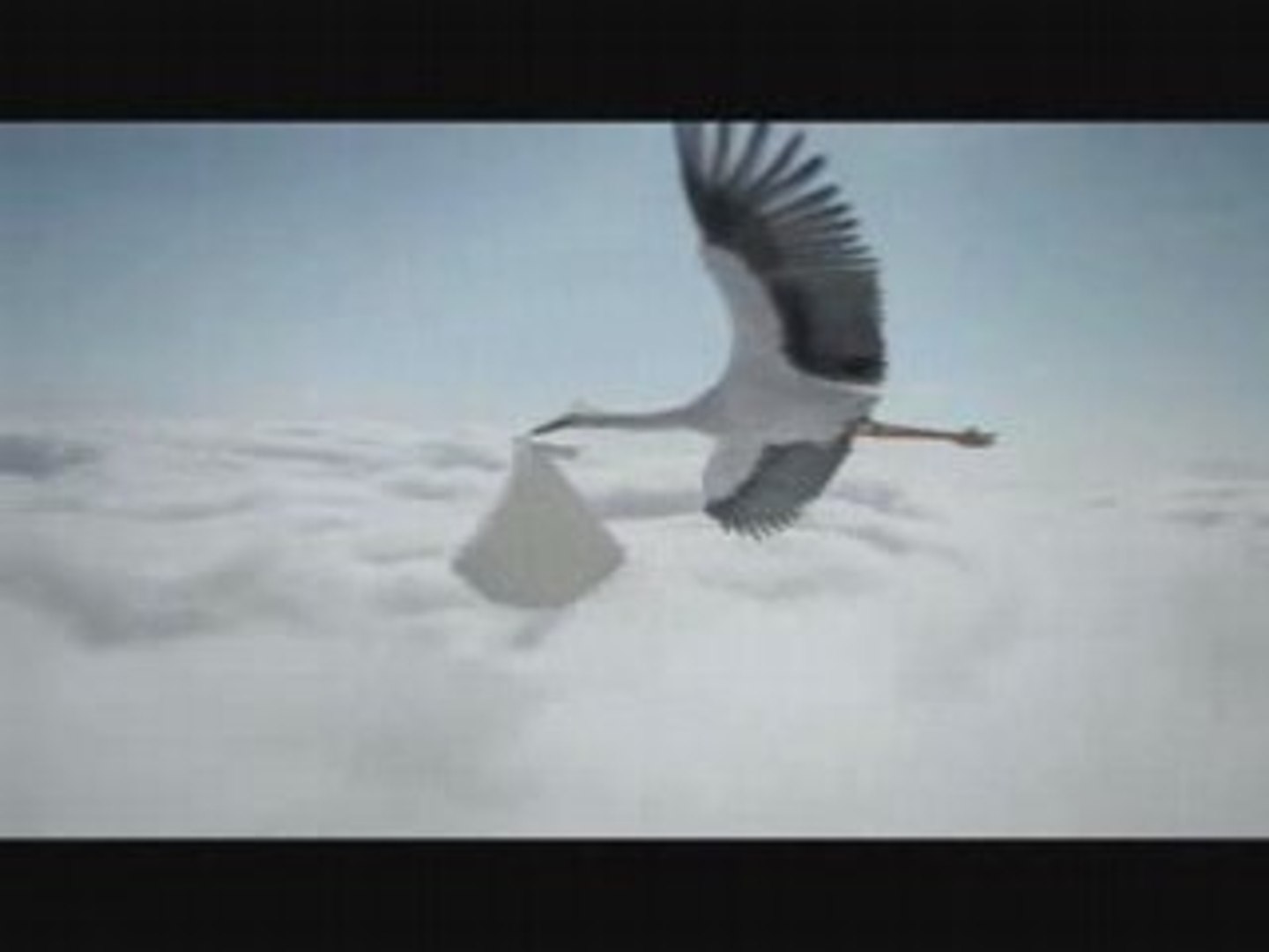 Les Cigognes Livre Les Bebe Video Dailymotion