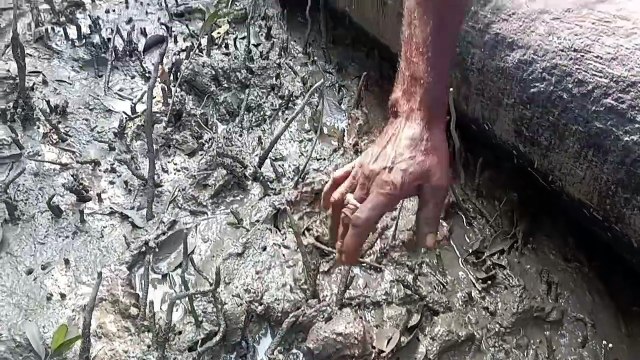 বাড়ির মধ্যে বাঘের বিশ্রাম, আতঙ্কে এলাকার মানুষ