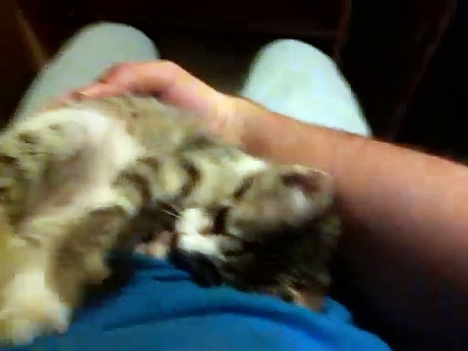 Like a baby on my lap - Piqi | Back in 2020
