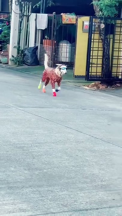 Überseevietnamesen, welches Land ist das?