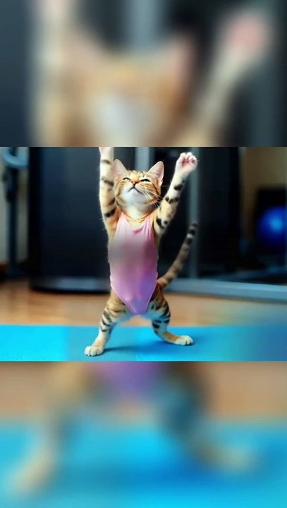 Cats Get Fit Synchronized Moves and Workout Routines!