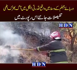 Punjab faces spike in forest fires