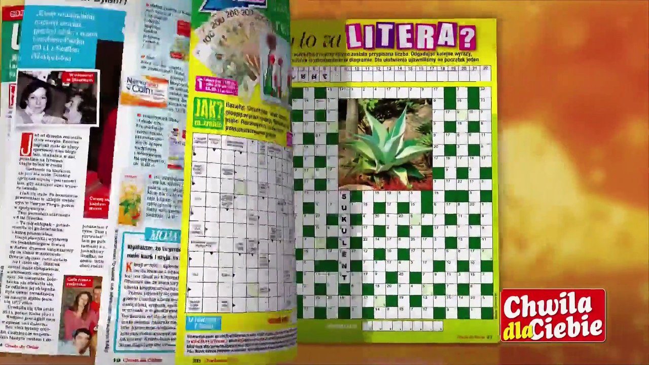 1 - Bloki reklamowe i spot - 17.03.2016