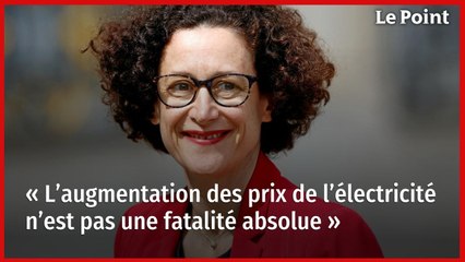 « L’augmentation des prix de l’électricité n’est pas une fatalité absolue »