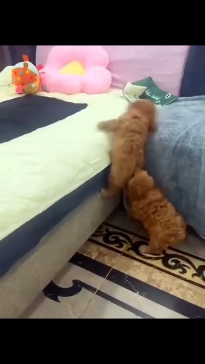 Du gehst zuerst, ich helfe dir hoch...