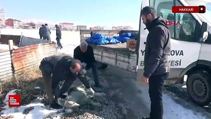 Hakkari'de Eslem'in ölümü sonrası bölgedeki sokak köpekleri toplanıyor