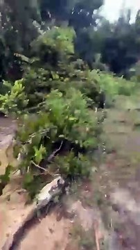 Sequestro em Camaçari: suspeitos abriram cova para enterrar as vítimas; ASSISTA