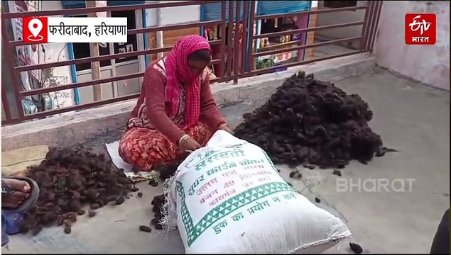 ये कैसी चोरी! न सोना न चांदी...सिर के बाल लेकर भागे चोर, घर में घुसकर की वारदात, देखें CCTV