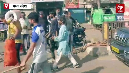 गौ माता को राष्ट्रमाता बनाने निकला नौजवान, कंधे पर उठाए है 62 किलो वजन, हजारों किमी यात्रा कर पहुंचेगा महाकालेश्वर