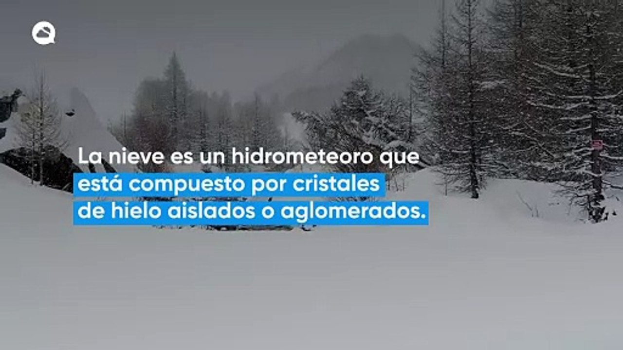 Nieve