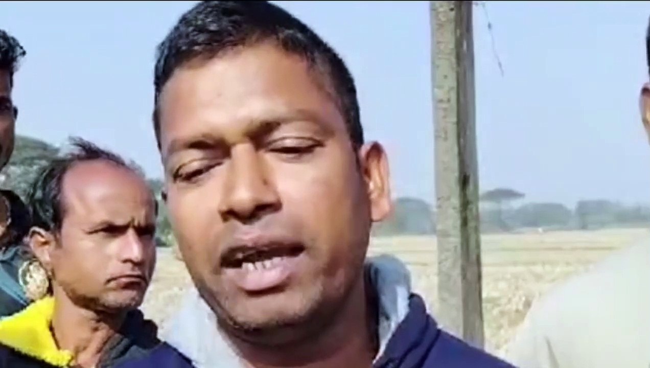 ୧୧କେଭି ବିଦ୍ୟୁତ୍ ତାର ଛିଣ୍ଡି ୫ଟି ଗୋରୁଙ୍କ ମୃତ୍ୟୁ