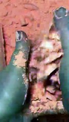 Breaking orange chalk asmr