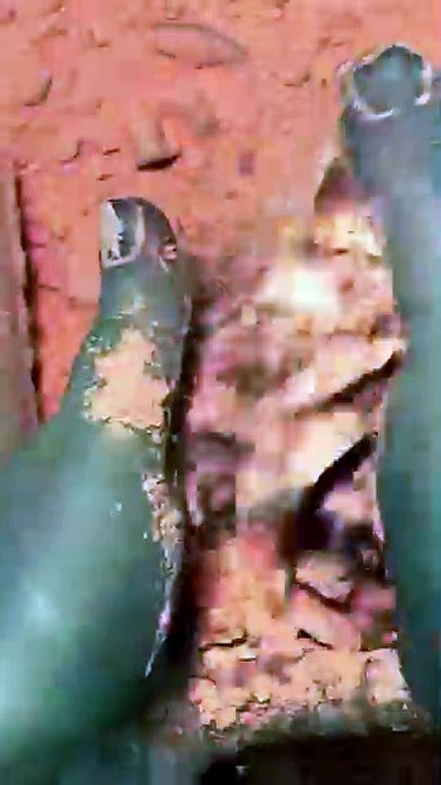 Breaking orange chalk asmr