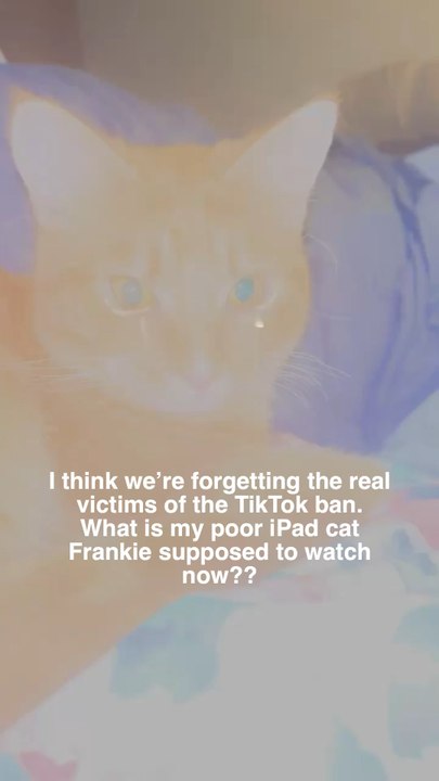poor thing is absolutely devastated