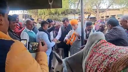 भाजपा संगठन ने घंटी मनोरथ व गो सेवा कर मनाया विधायक भाटी का जन्मदिन