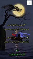 Urdu Poetry | Urdu Shayari |Sad Poetry...mashal-e-raah ap key naqsh-e-qadam