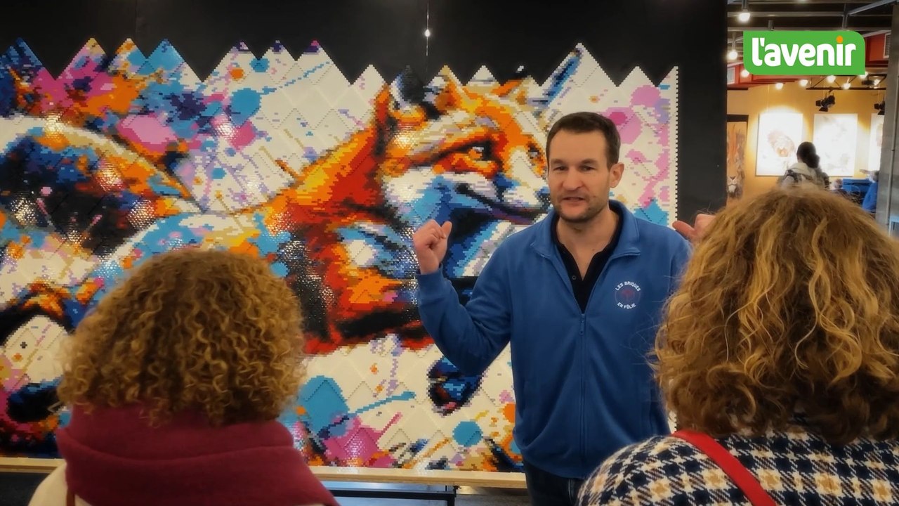 L’Expo Bricks Lego Arlon en met plein les yeux