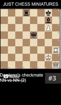 Damiano's checkmate. NN vs NN (2) #chess