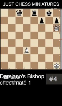 NN vs NN. Damiano's Bishop checkmate 1