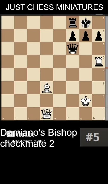 NN vs NN. Damiano's Bishop checkmate 2