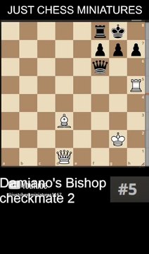 NN vs NN. Damiano's Bishop checkmate 2
