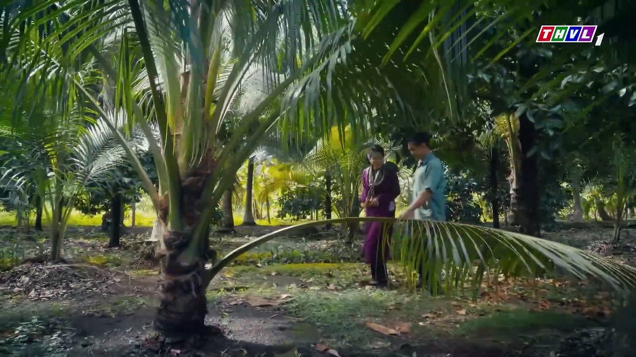 THAM VỌNG GIÀU SANG - TẬP 33 - PHIM VIỆT NAM THVL1 - THAM VONG GIAU SANG