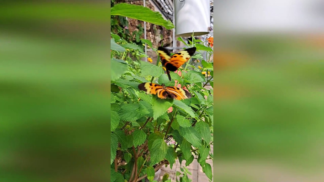 amazing nature