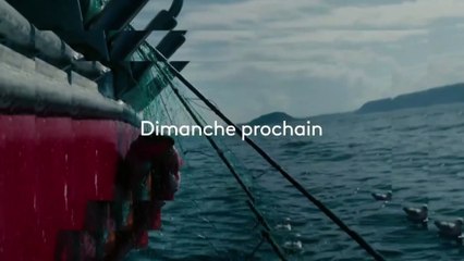 Le mystère du béluga espion - 26 janvier