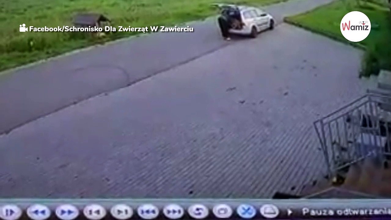 Mann auf frischer Tat ertappt: Ermittlungen laufen nach skrupelloser Tat