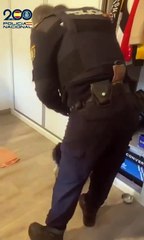 La operación antidroga llevada a cabo en Segovia acaba con doce detenidos